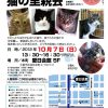 第13回 おおさかねこネット 猫の里親会