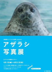 海遊館×クリスタ長堀 presents アザラシ写真展