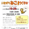 第17回大阪市図書館フェスティバル 工作教室「いたずらねこをつくろう!」