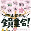 ウラなんば「お花見だよ全員集合！VOL.2」