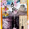 大坂城お花見・夜桜イルミナージュ