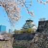 大阪城天守閣 桜のシーズンとゴールデンウィークの開館延長