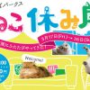 猫の合同写真＆物販展「ねこ休み展」in 大阪なんばパークス