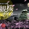 大阪城西の丸庭園 観桜ナイター
