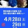 石ふしぎ大発見展2018 第24回 大阪ショー