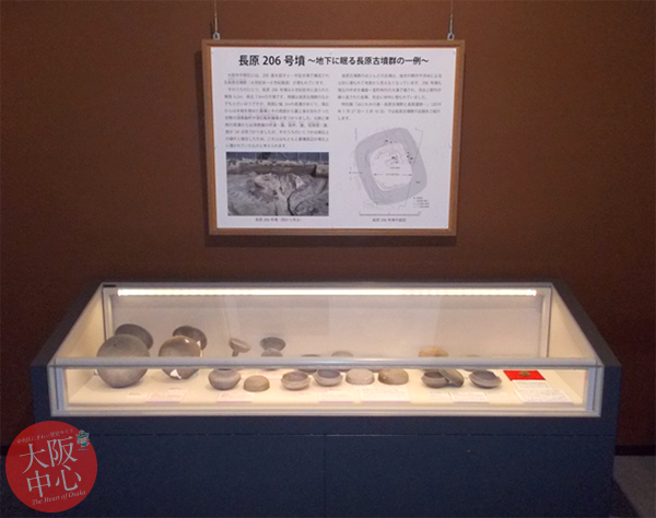 大阪歴史博物館 常設展示｢長原206号墳～地下に眠る長原古墳群の一例～｣