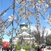 大阪城公園 桜の見頃 2020
