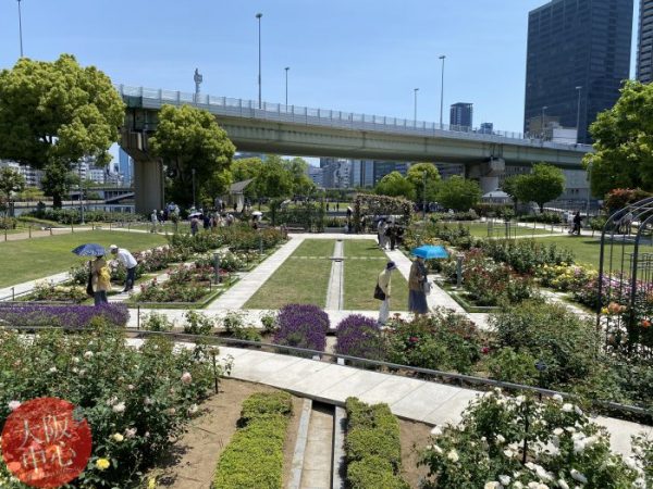 春のローズツアー  中之島公園バラ園