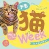 「猫week in にゃんばマルイ」vol.2