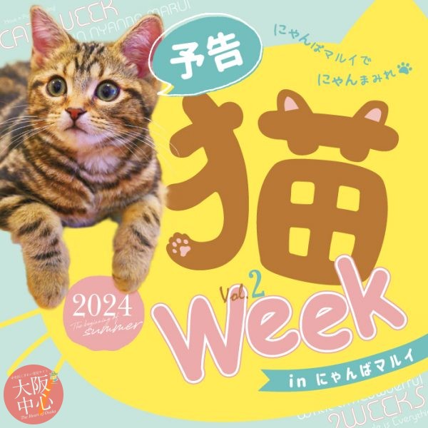 「猫week in にゃんばマルイ」vol.2