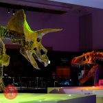 DinoScience 恐竜科学博 ~ララミディア大陸の恐竜物語~ 2024@OSAKA