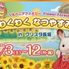 シルバニアファミリー Flower Forest『わくわくなつやすみ』in クリスタ長堀