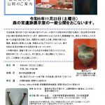 令和6年秋季　森の宮遺跡展示室の一般公開