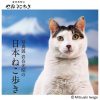 写真展 岩合光昭の日本ねこ歩き