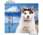 写真展 岩合光昭の日本ねこ歩き