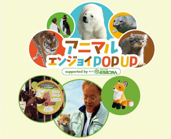 アニマルエンジョイ POP UP