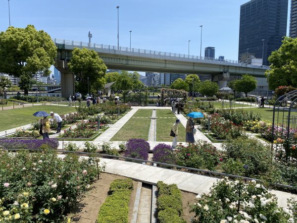 2025 春のローズツアー（中之島公園バラ園）