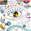 キテミテ中之島2025