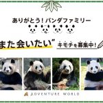 アドベンチャーワールド ポップアップストア