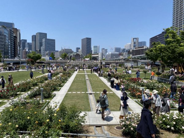 秋のローズツアー 中之島公園バラ園