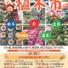 令和7年「秋の植木市」大阪城公園