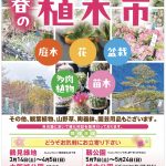 令和8年「春の植木市」（大阪城公園）