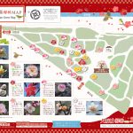 大阪城梅林 梅の花の見頃 2026