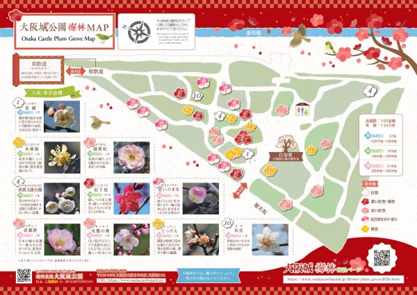 大阪城梅林 梅の花の見頃 2026 大阪城梅林 梅の花の見頃 2026