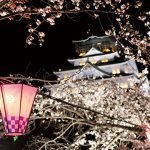 大阪城 西の丸庭園 観桜ナイター2026