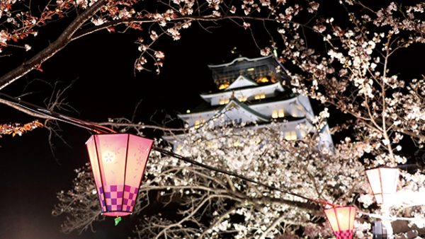 大阪城 西の丸庭園 観桜ナイター2026