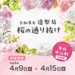 令和8年 造幣局 桜の通り抜け