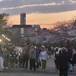 大阪城 豊臣石垣館１周年記念 東大番衆小屋跡お花見イベント