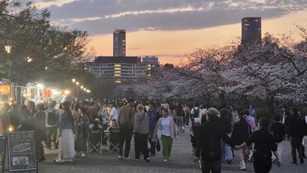 大阪城 豊臣石垣館1周年記念 東大番衆小屋跡お花見イベント 大阪城 豊臣石垣館1周年記念 東大番衆小屋跡お花見イベント