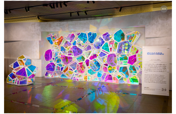 「量子飛躍する美の世界」一般公開