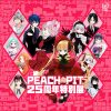 PEACH-PIT25周年特別展（大阪会場）