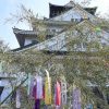 大阪城の七夕~天守閣で願いをこめて2026~ 大阪城の七夕~天守閣で願いをこめて2026~