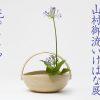 第77回 圓照寺門跡 山村御流いけばな展 第77回 圓照寺門跡 山村御流いけばな展