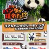 リアルパンダグリーティング&上野案内所コラボ POP UP リアルパンダグリーティング&上野案内所コラボ POP UP