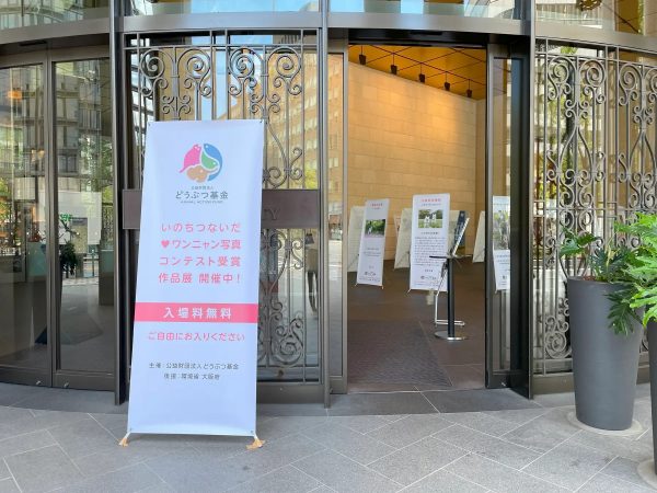 「いのちつないだワンニャン写真・動画コンテスト2026」作品展 「いのちつないだワンニャン写真・動画コンテスト2026」作品展