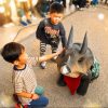 せかいの恐竜・ワンダーランド トリケラトプスの子ども 「トリぼん」がやってくる！