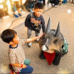 せかいの恐竜・ワンダーランド トリケラトプスの子ども 「トリぼん」がやってくる！