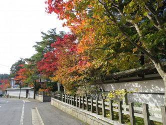 高野山街道沿い紅葉