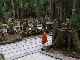 高野山奥の院参道巨杉群