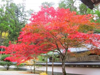 奥の院 - 御供所