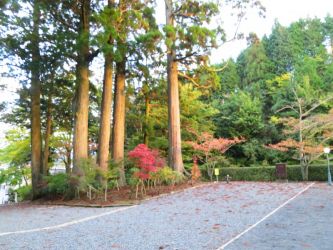 高野山街道沿い紅葉