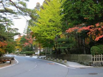 高野山街道沿い紅葉